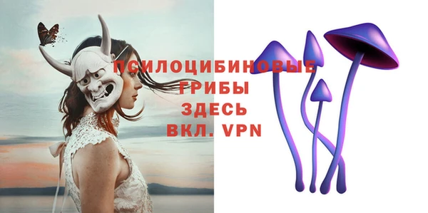 ГАЛЛЮЦИНОГЕННЫЕ ГРИБЫ Горнозаводск