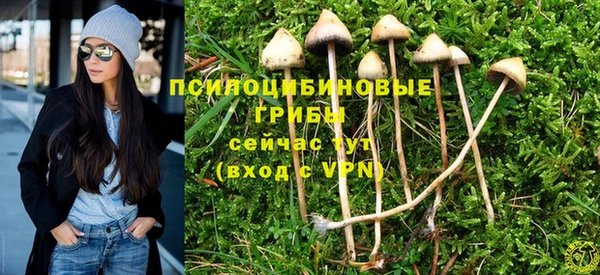 МДМА Горняк