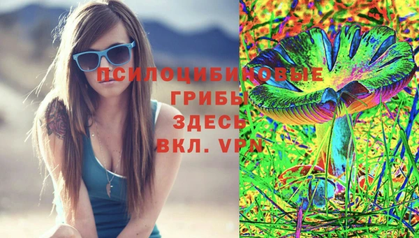 ГАЛЛЮЦИНОГЕННЫЕ ГРИБЫ Горнозаводск